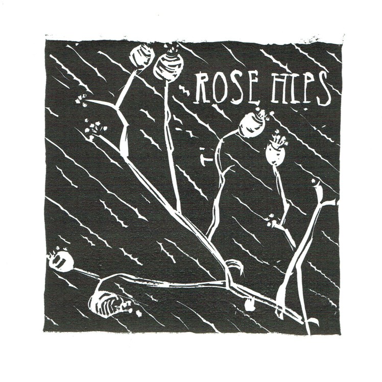 Rose hips black