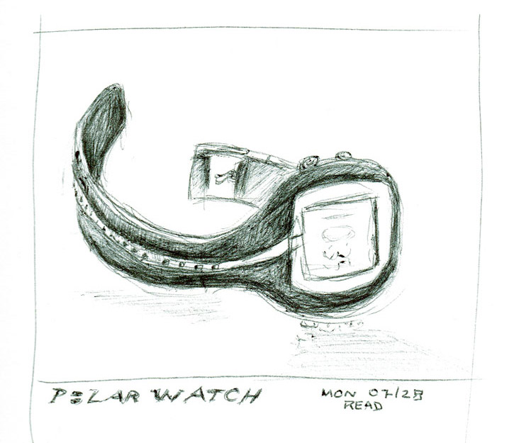 Polar-Watch cropped